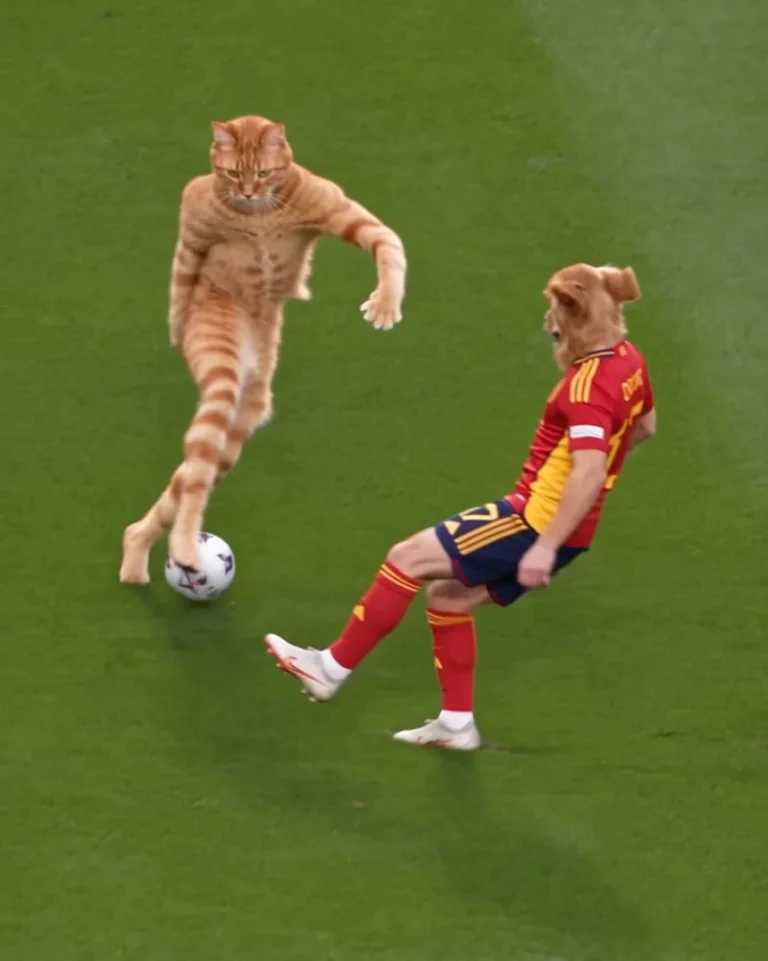An orange cat by a soccer ball faces a dog in a red-and-yellow soccer kit on a green field.