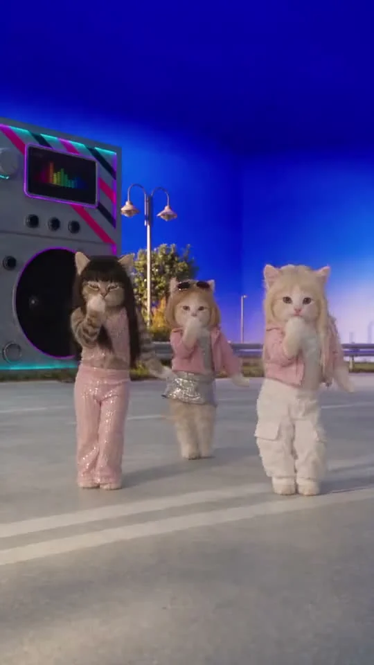Three cats in pink outfits dancing outdoors beside a large boombox under a deep blue sky.